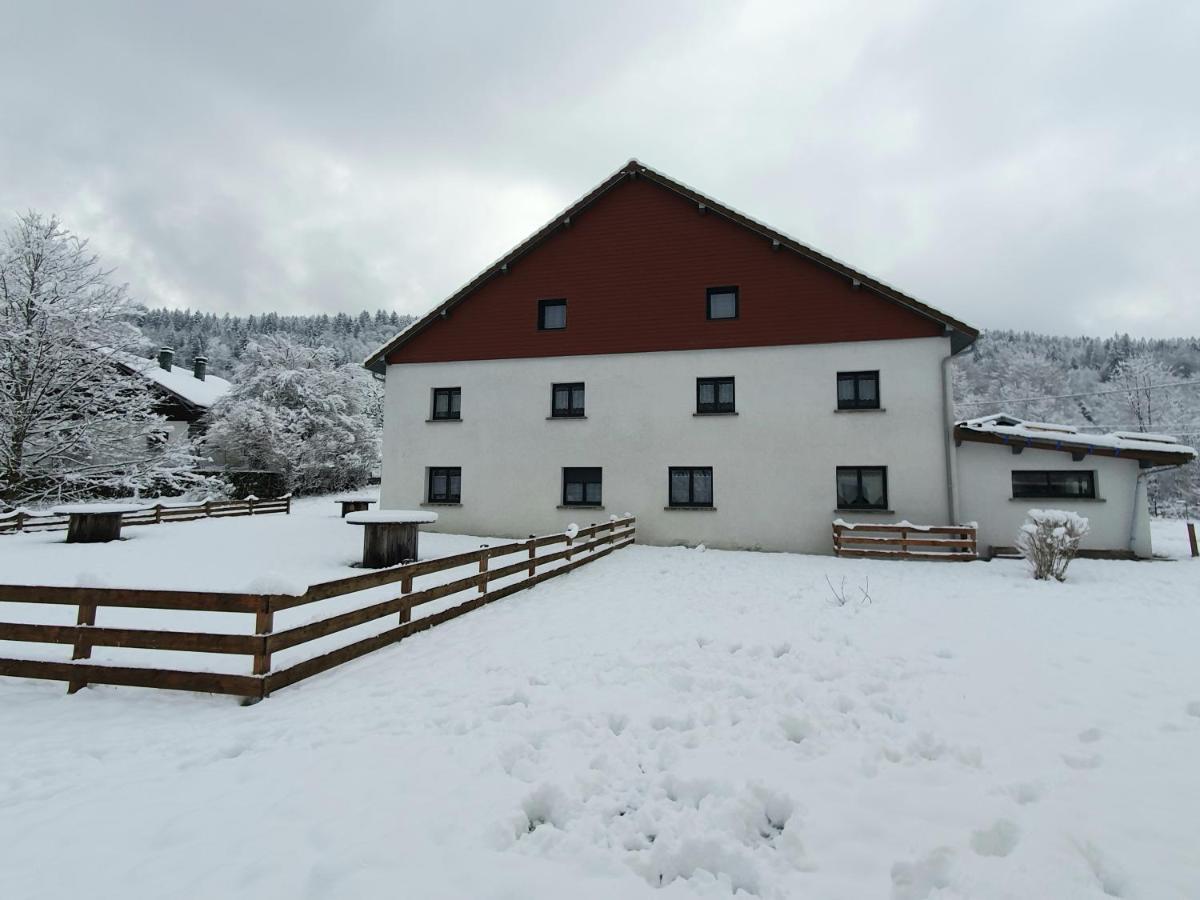 Appart Lievre 4 Etoiles Cornimont Eksteriør billede